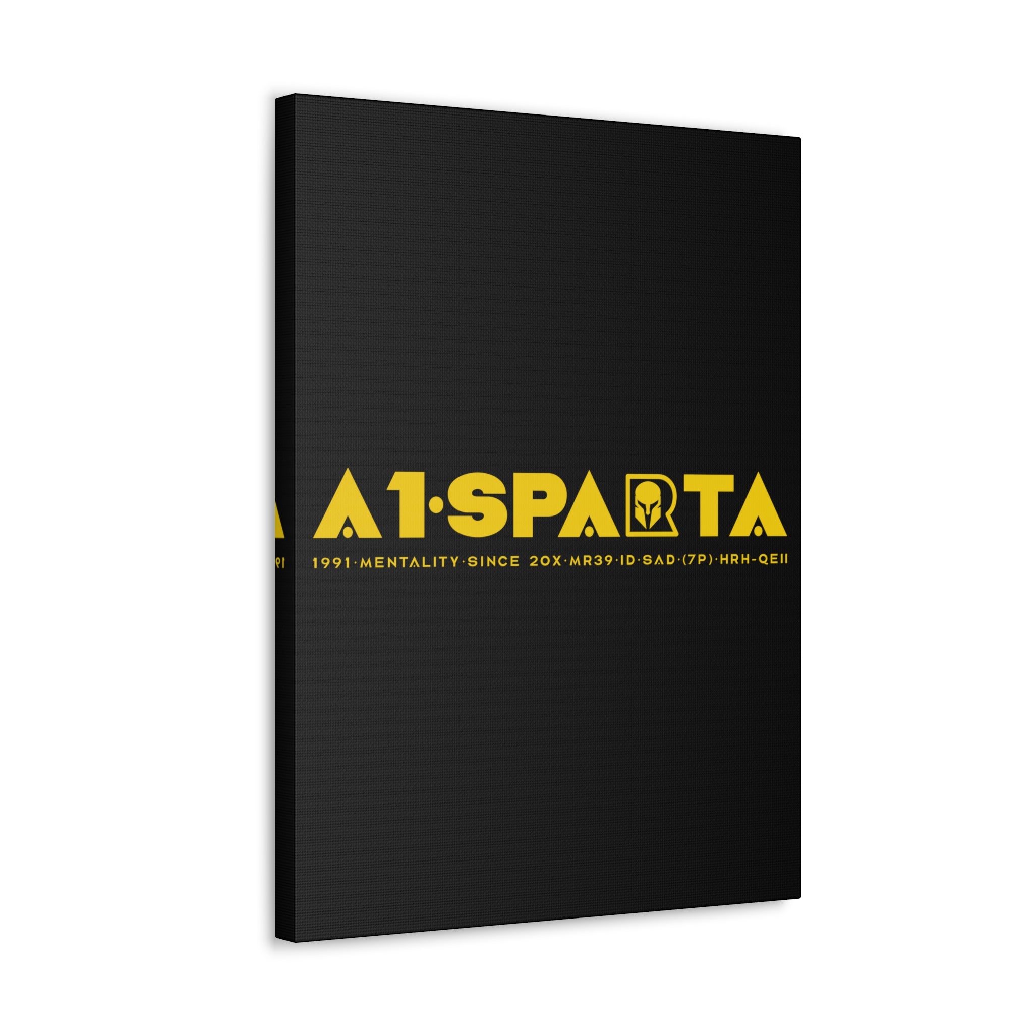 Canvas Gallery Wraps (A1•SPARTA RANGE)