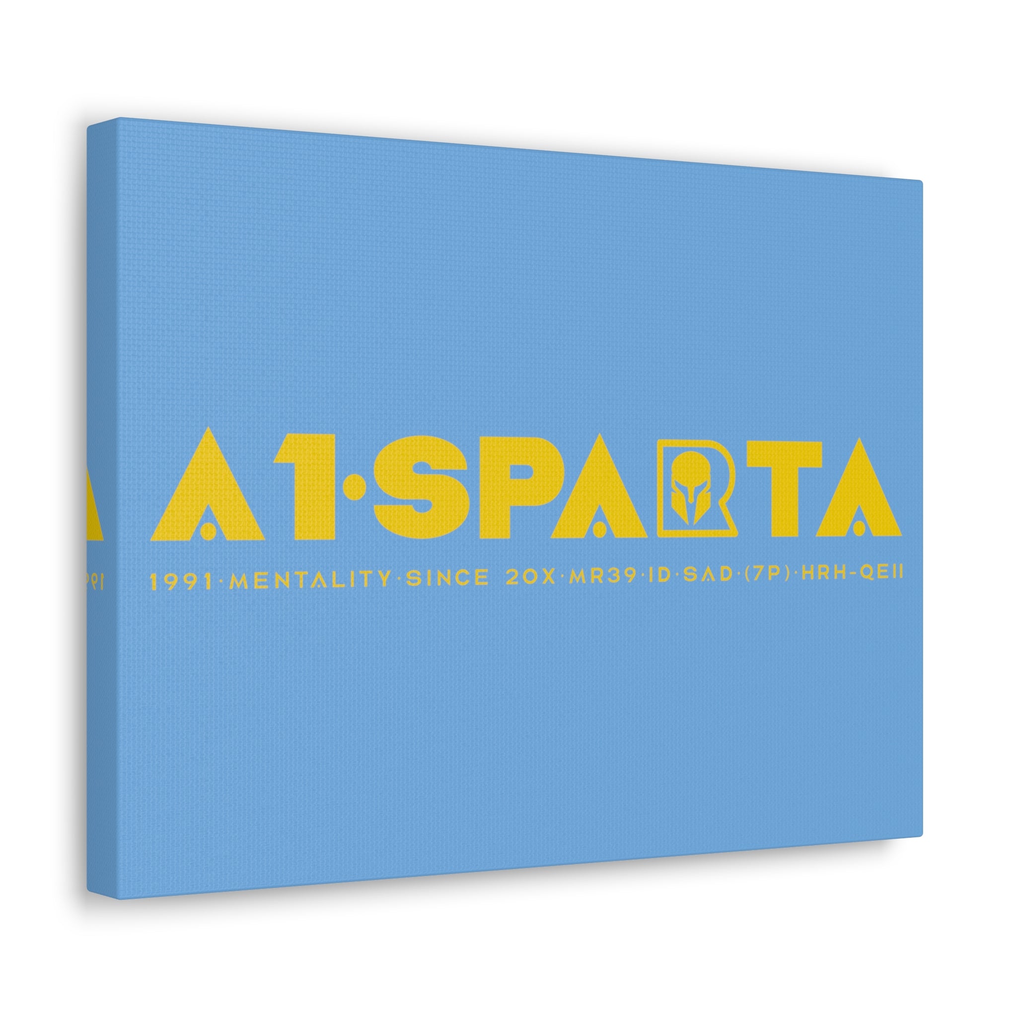 Canvas Gallery Wraps (A1•SPARTA RANGE)