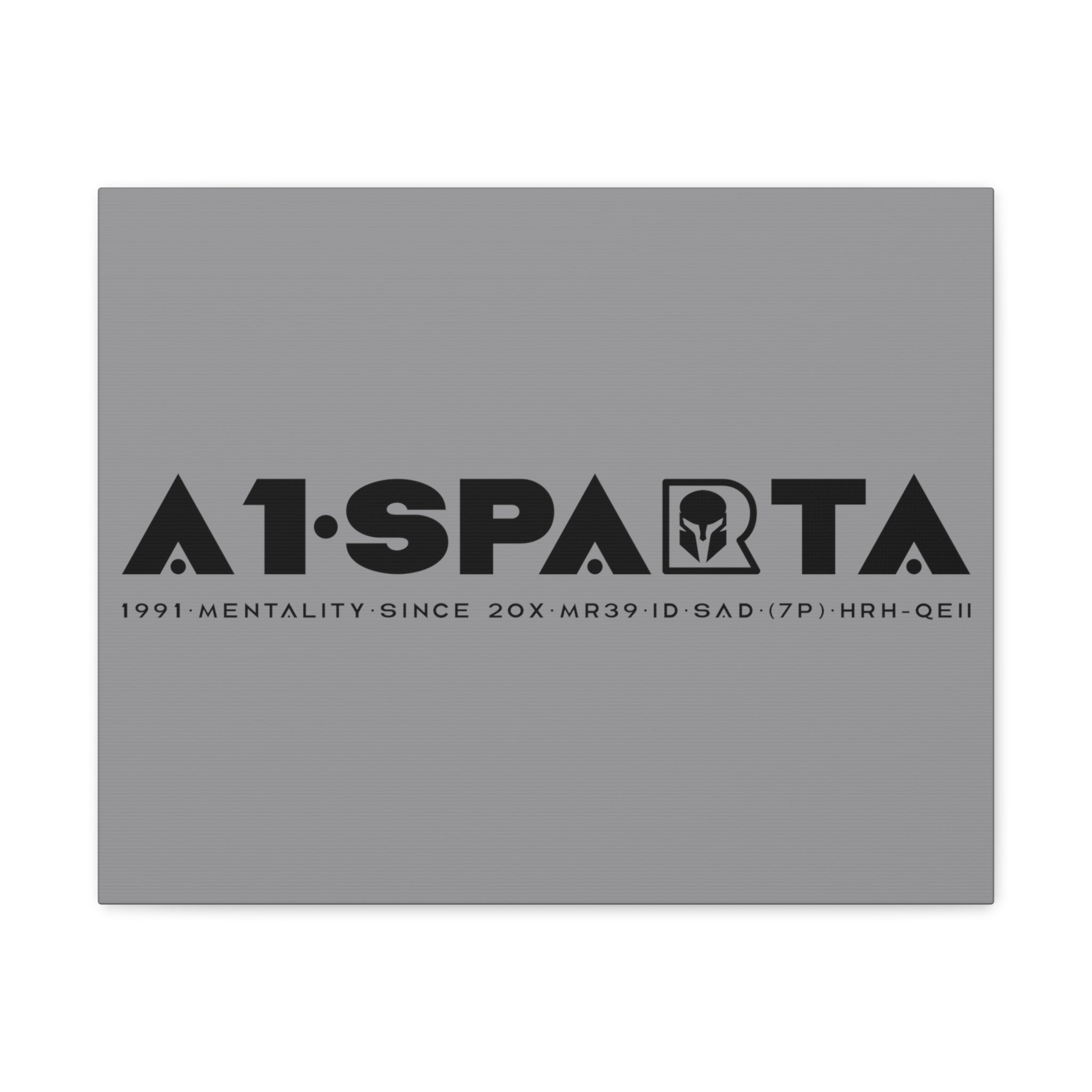 Canvas Gallery Wraps (A1•SPARTA RANGE)