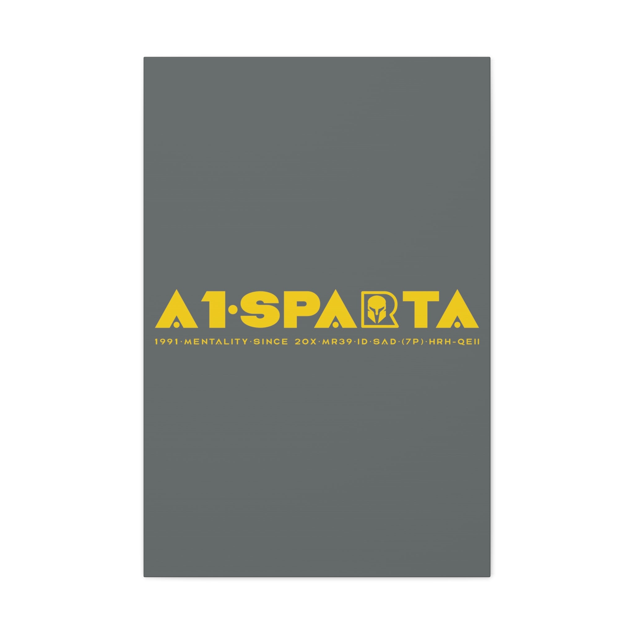 Canvas Gallery Wraps (A1•SPARTA RANGE)