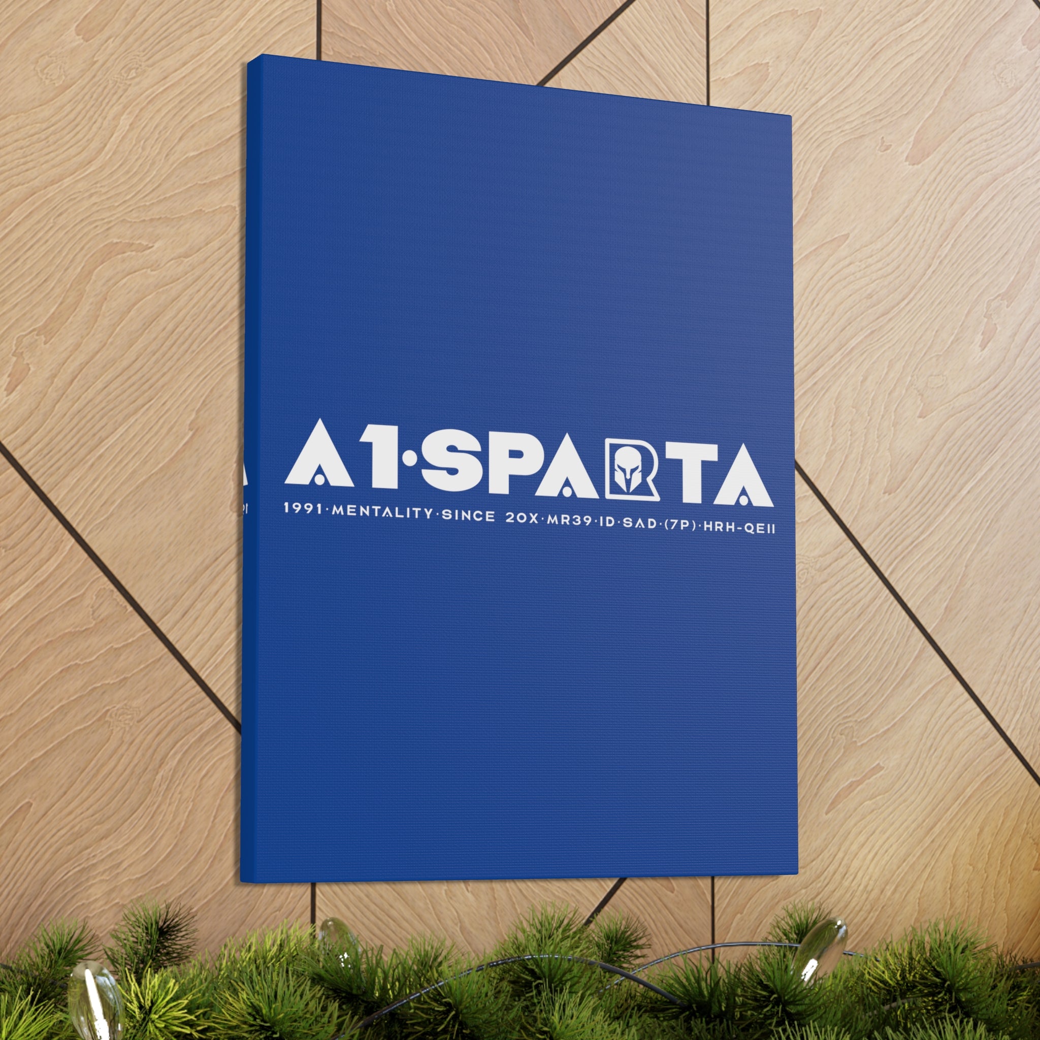 Canvas Gallery Wraps (A1•SPARTA RANGE)