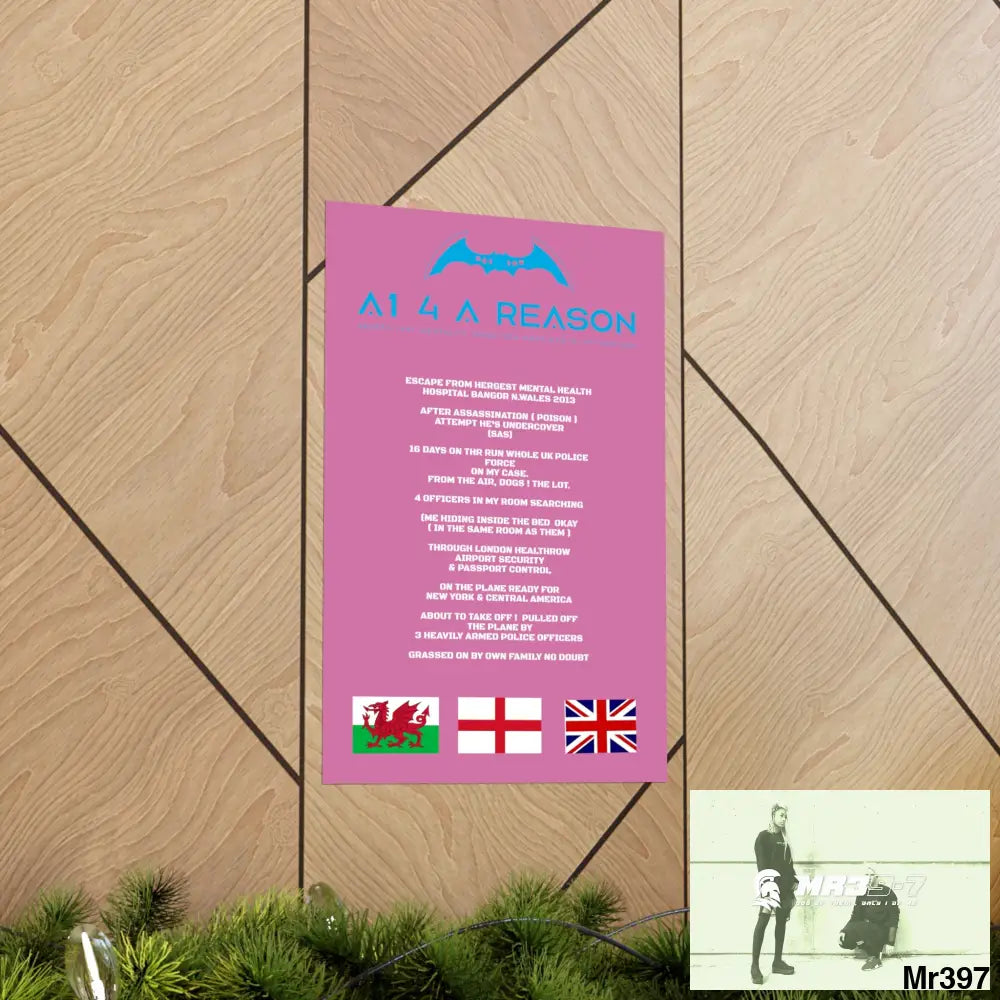 A1 4 A Reason Escape from Hergest MH Hospital 2013 Matte Vertical Posters Poster