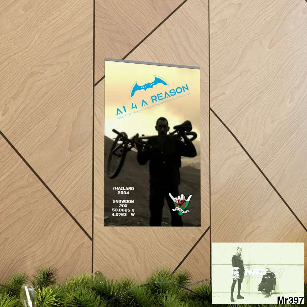 A1 4 A Reason My birthday Beating not 20X Snowdon Matte Vertical Posters Poster