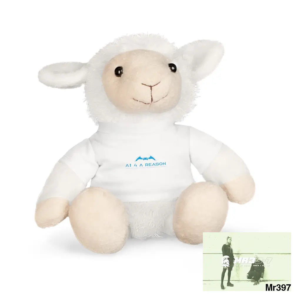 A1 4 A Reason Plush Toy with T-Shirt Accessories
