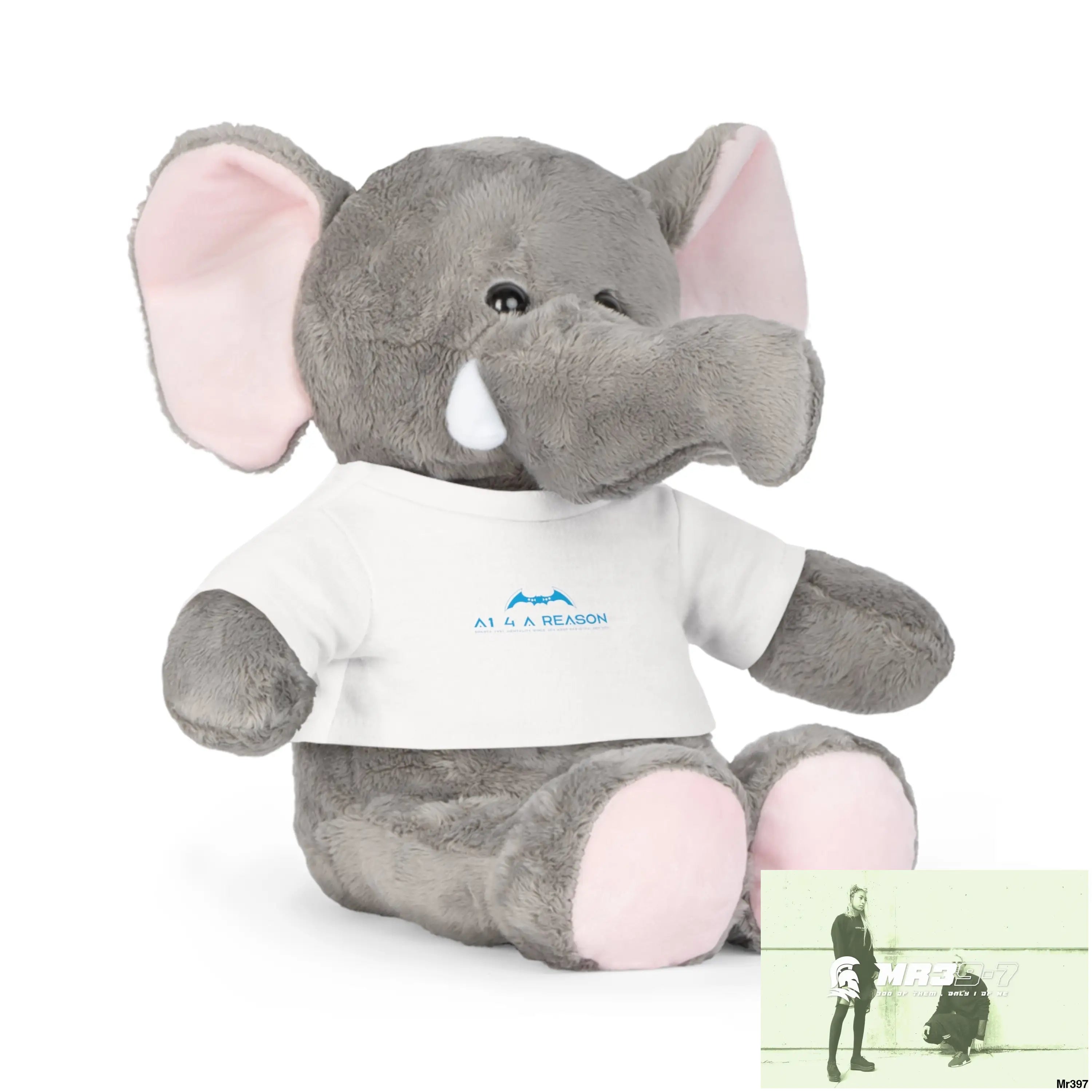 A1 4 A Reason Plush Toy with T-Shirt Accessories