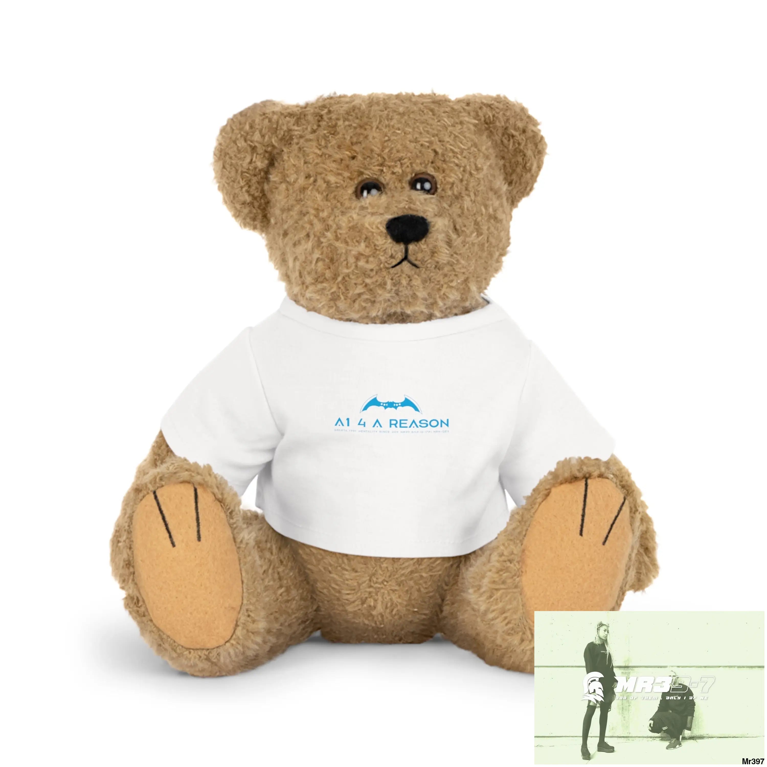 A1 4 A Reason Plush Toy with T-Shirt Bear / White / One size Accessories