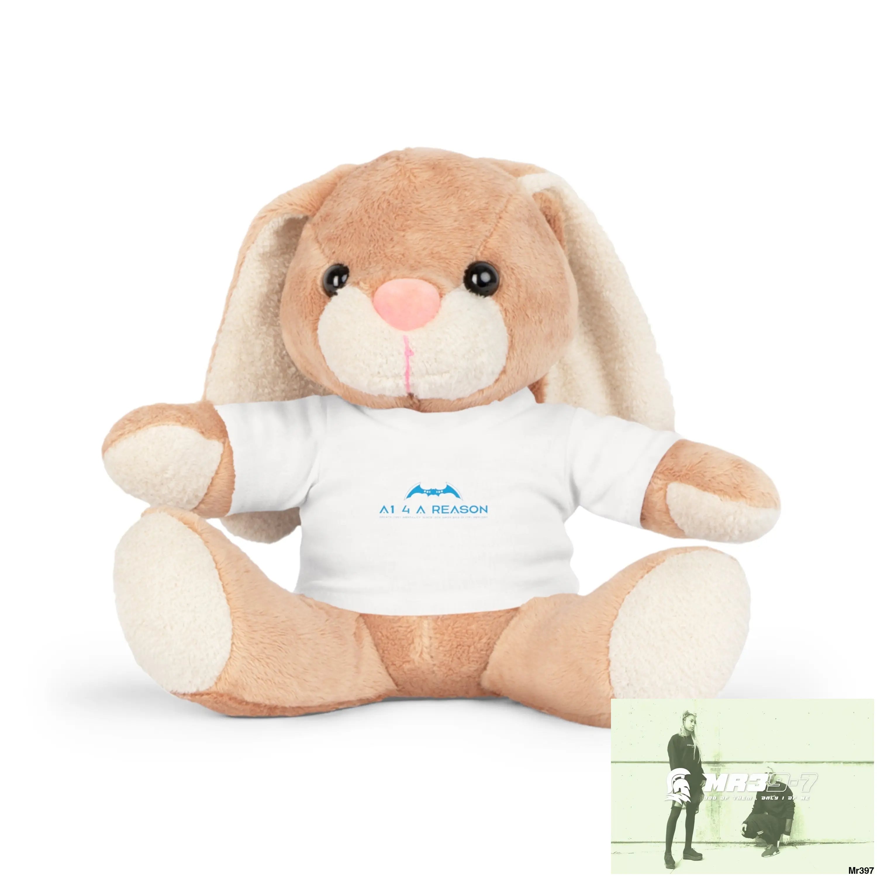 A1 4 A Reason Plush Toy with T-Shirt Bunny / White / One size Accessories
