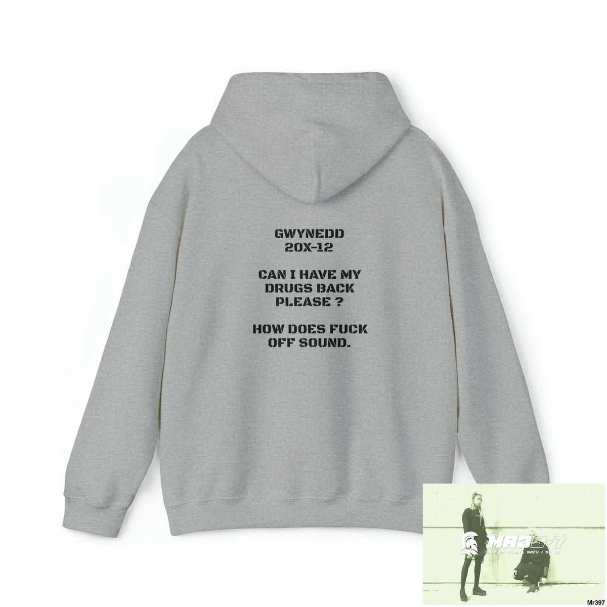 A1-Sparta Gwynedd 20X-12 Can I have my drugs back please + Fk off Heavy Blend™ Hooded Sweatshirt Hoodie