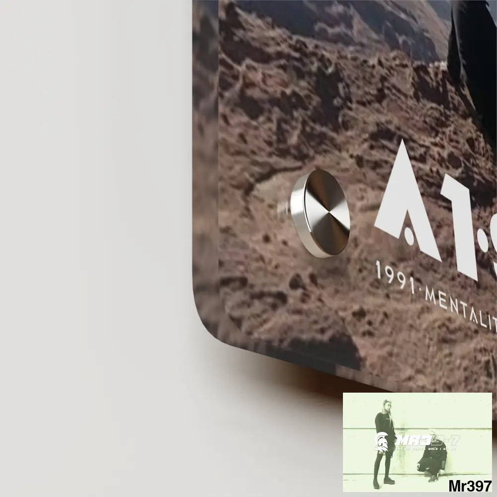 A1-Sparta Jordan Break from Madness 2014 Acrylic Wall Art Panels Home Decor