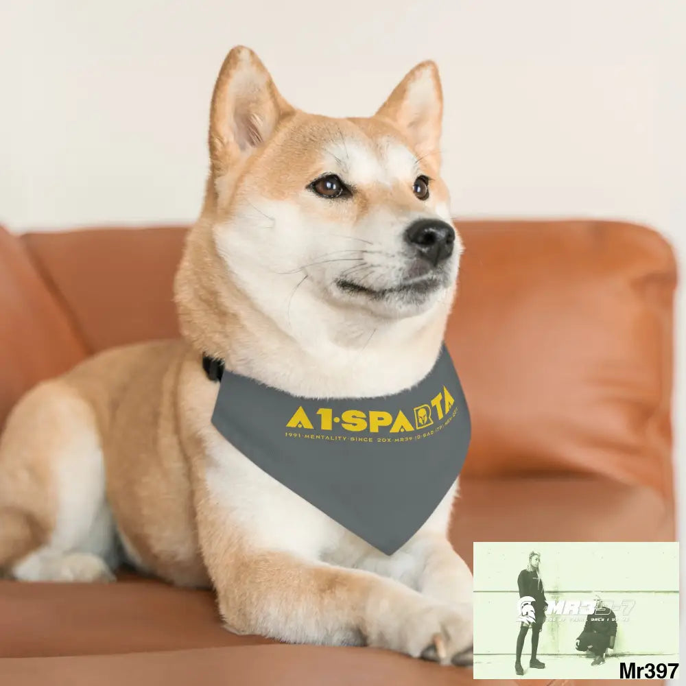 A1--Sparta Pet Bandana Collar Pets