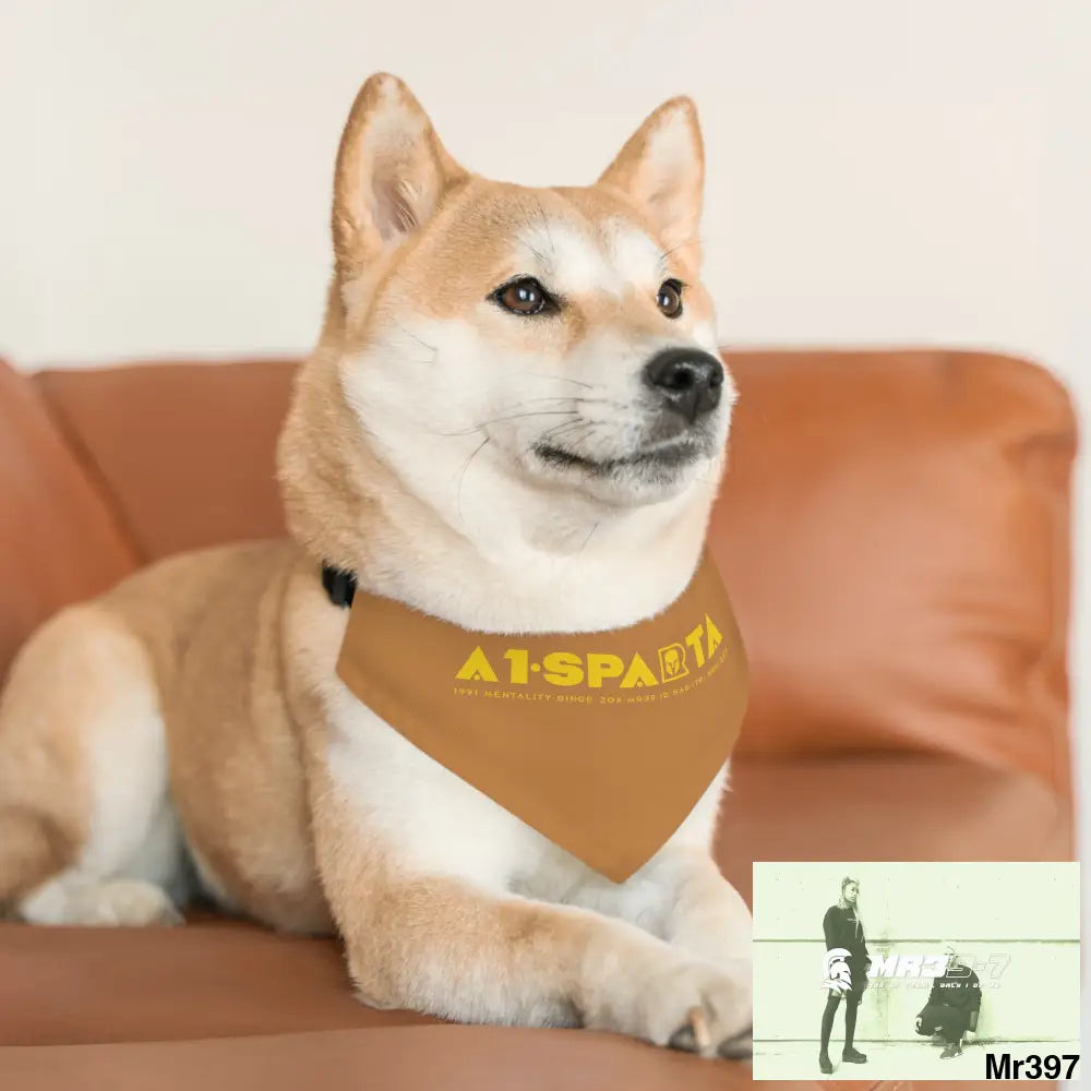 A1--Sparta Pet Bandana Collar Pets