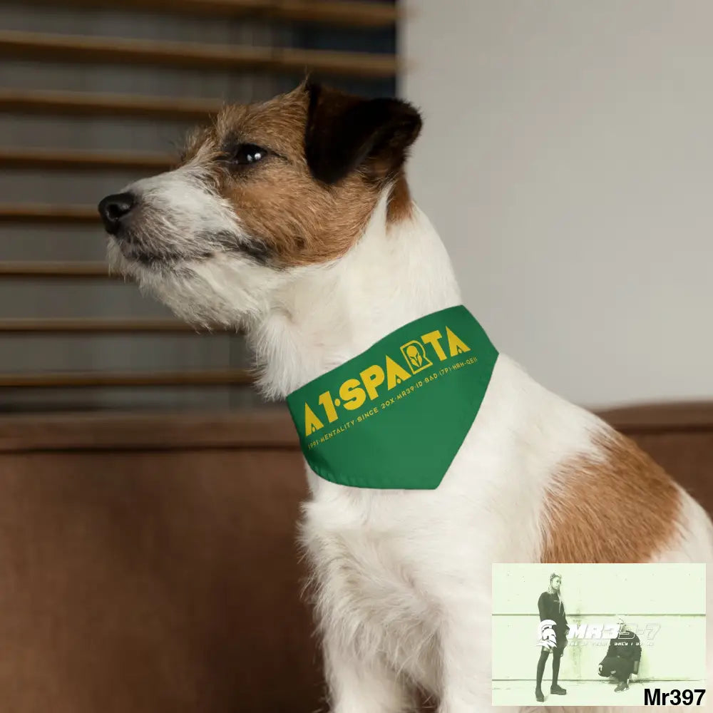 A1--Sparta Pet Bandana Collar Pets