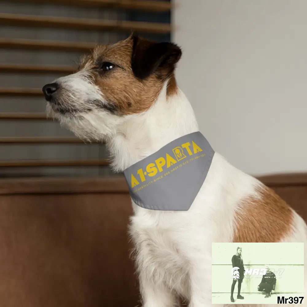 A1--Sparta Pet Bandana Collar Pets