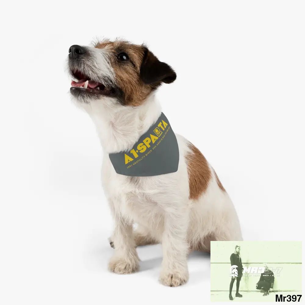 A1--Sparta Pet Bandana Collar Pets