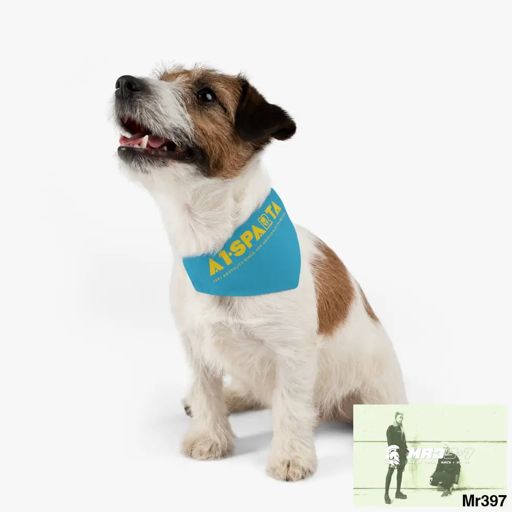A1--Sparta Pet Bandana Collar Pets