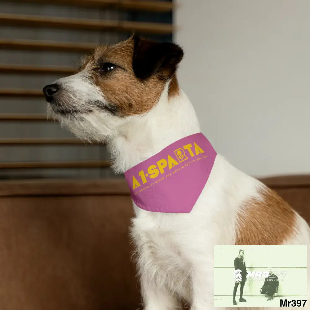 A1--Sparta Pet Bandana Collar Pets