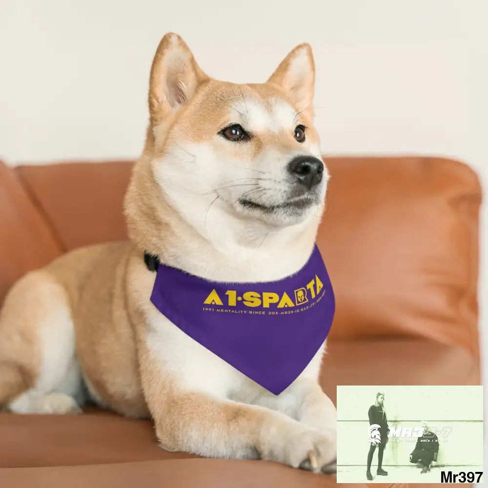 A1--Sparta Pet Bandana Collar Pets
