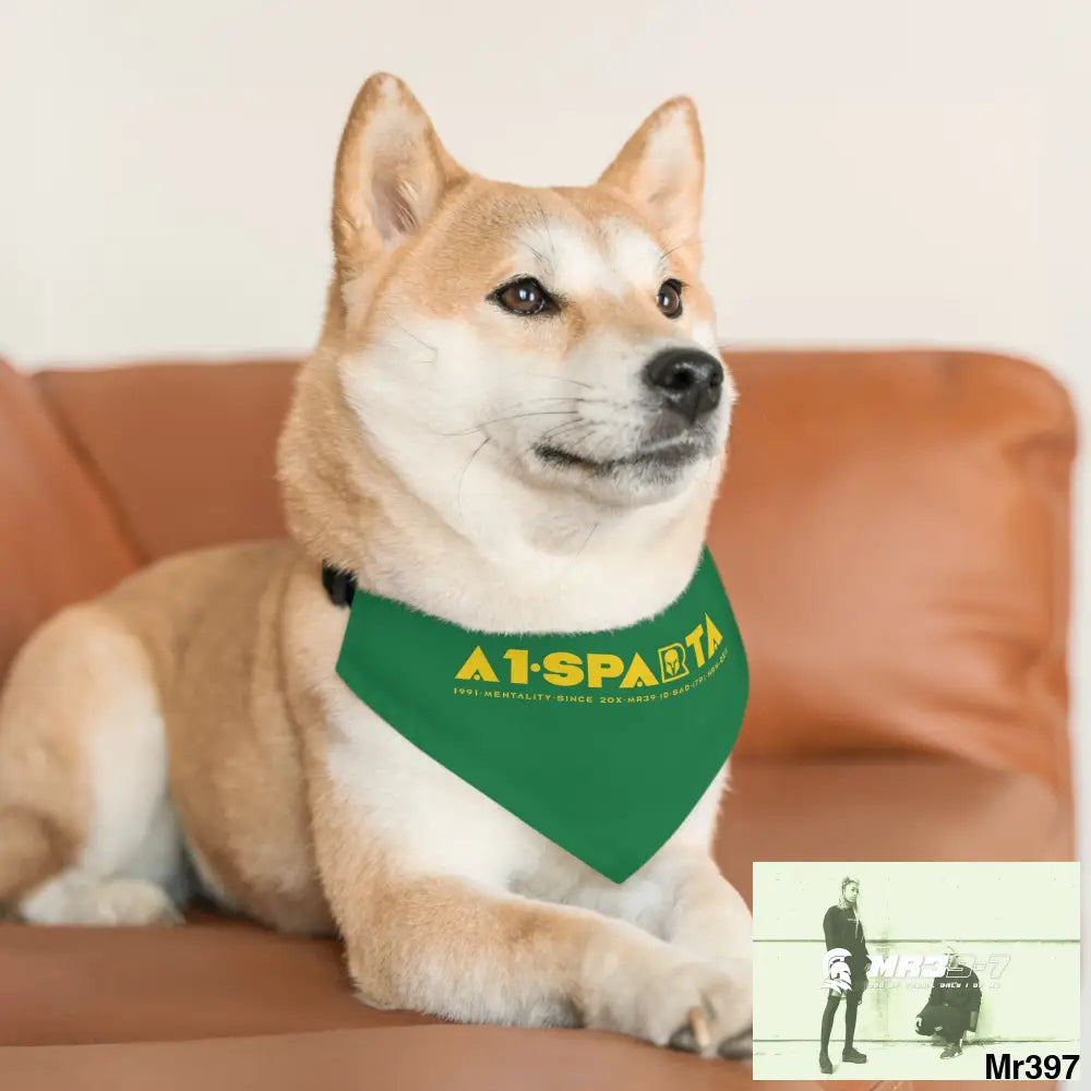 A1--Sparta Pet Bandana Collar Pets