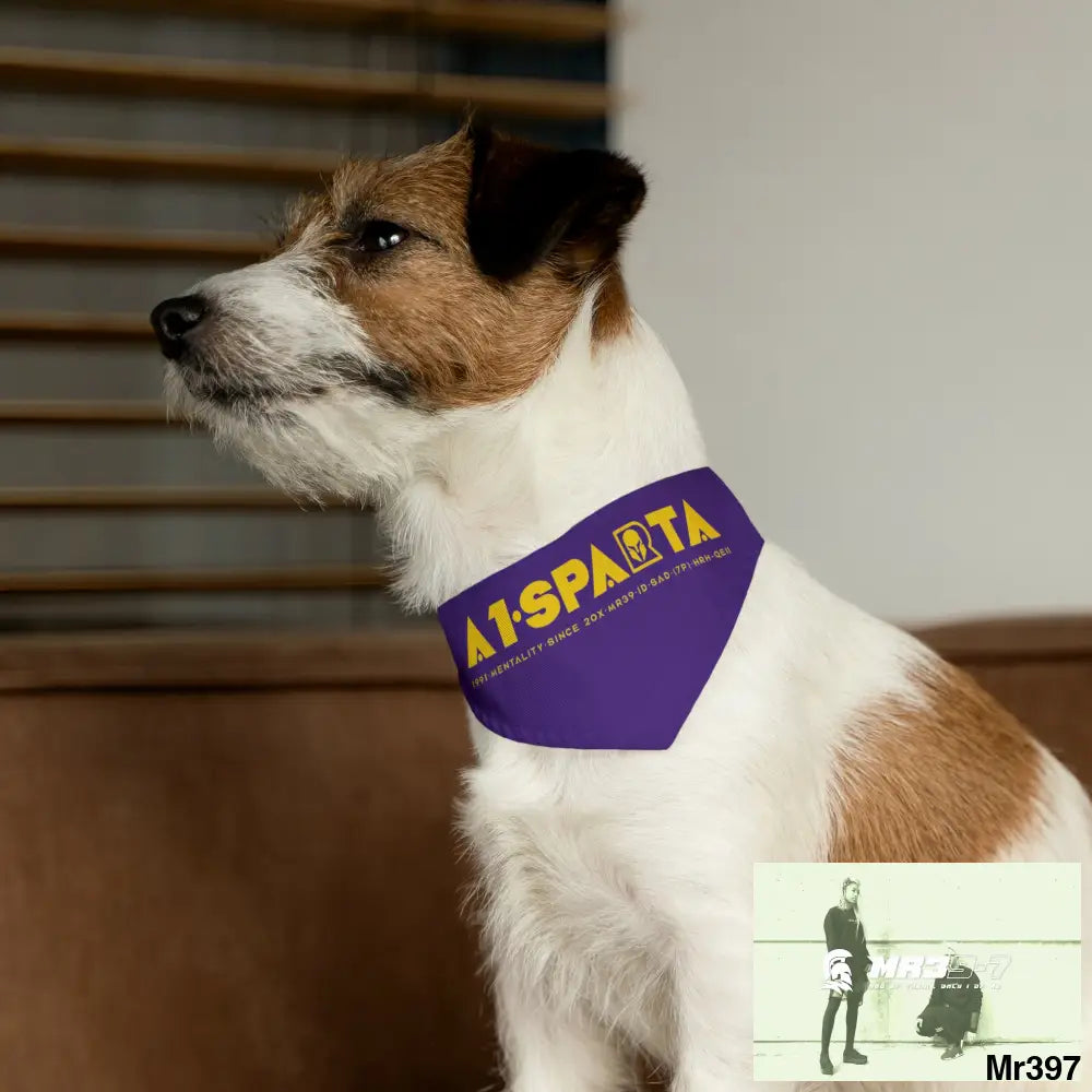 A1--Sparta Pet Bandana Collar Pets