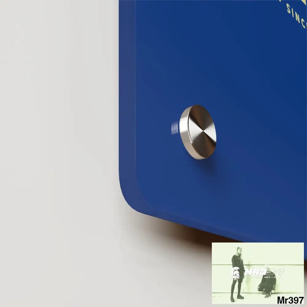 A1-Vigilante Acrylic Wall Art Panels Home Decor