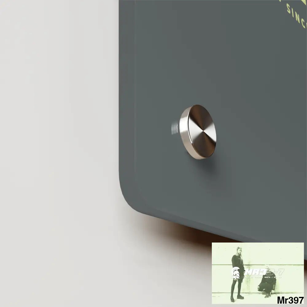 A1-Vigilante Acrylic Wall Art Panels Home Decor