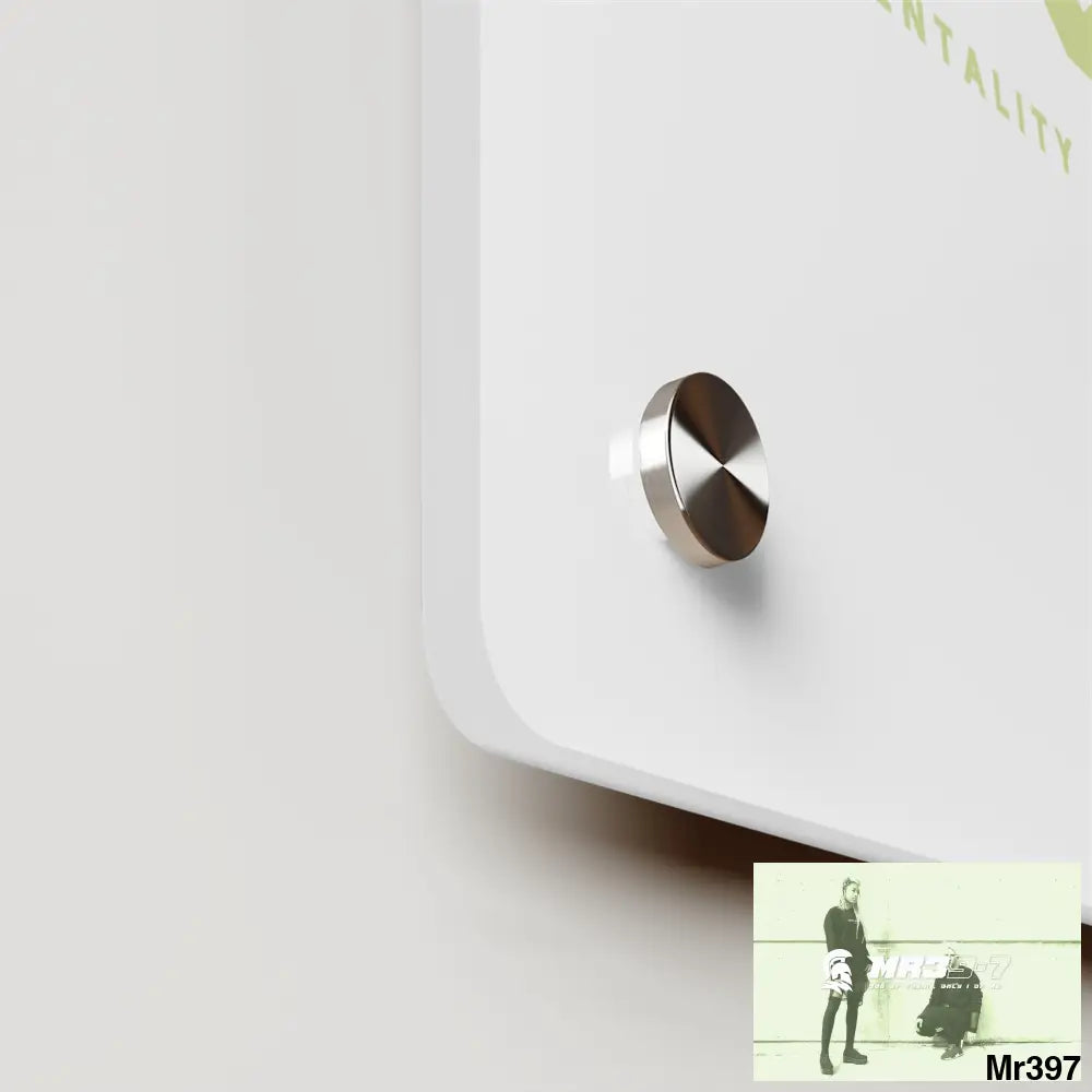 A1-Vigilante Acrylic Wall Art Panels Home Decor