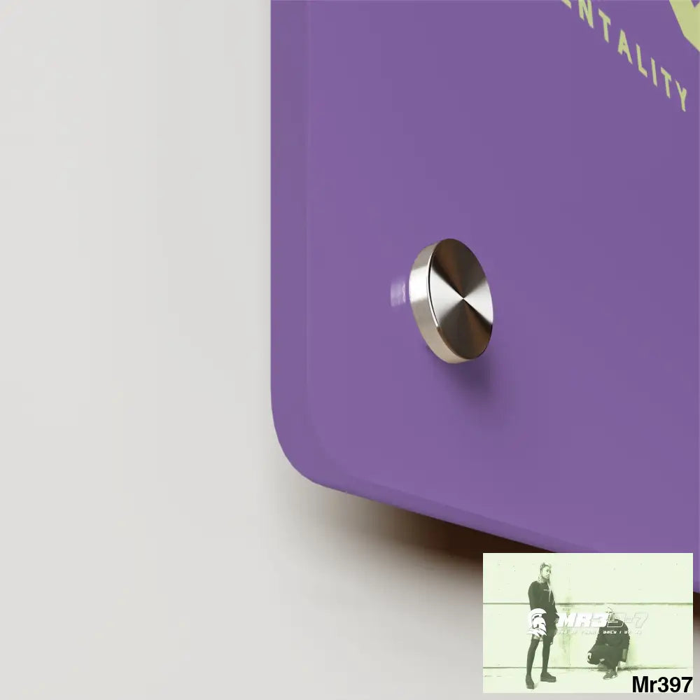 A1-Vigilante Acrylic Wall Art Panels Home Decor