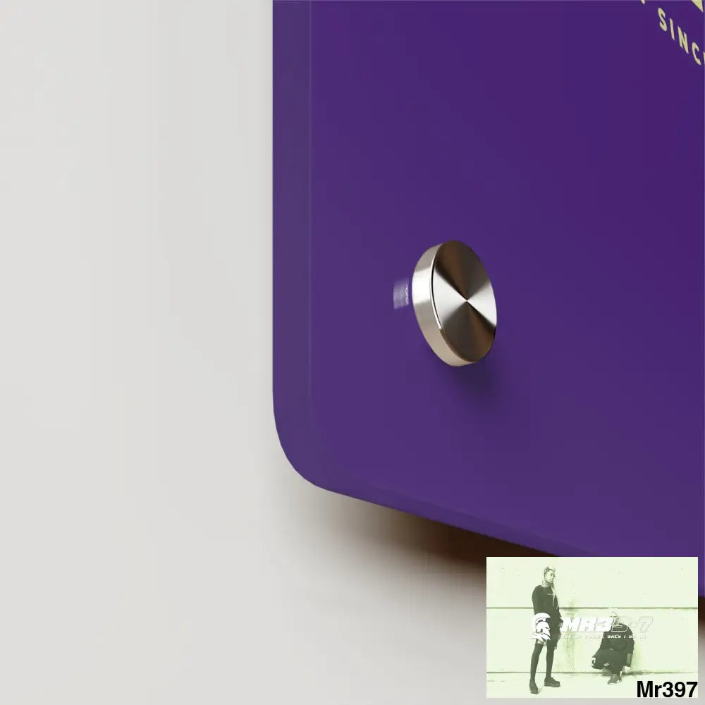 A1-Vigilante Acrylic Wall Art Panels Home Decor