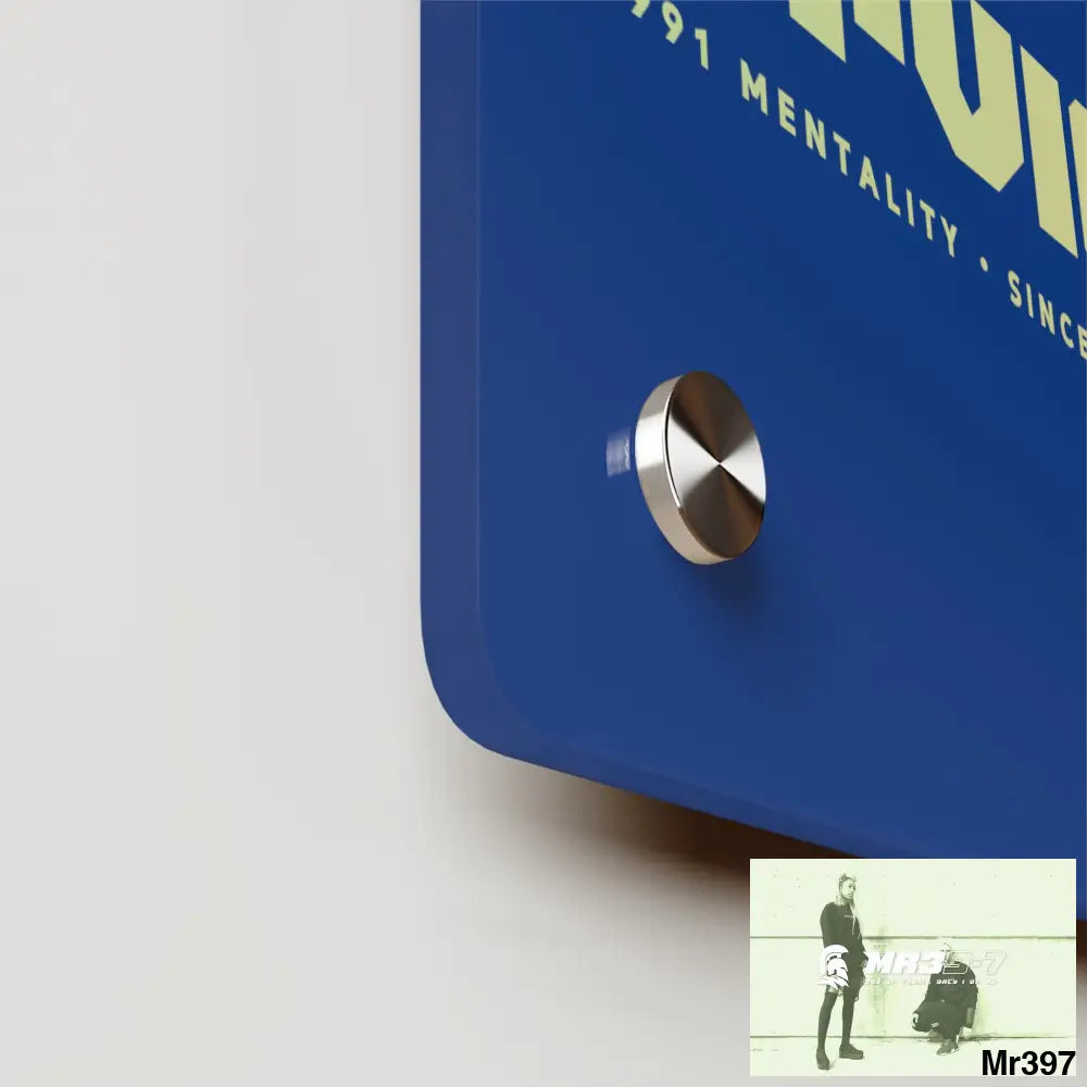 A1-Vigilante Acrylic Wall Art Panels Home Decor