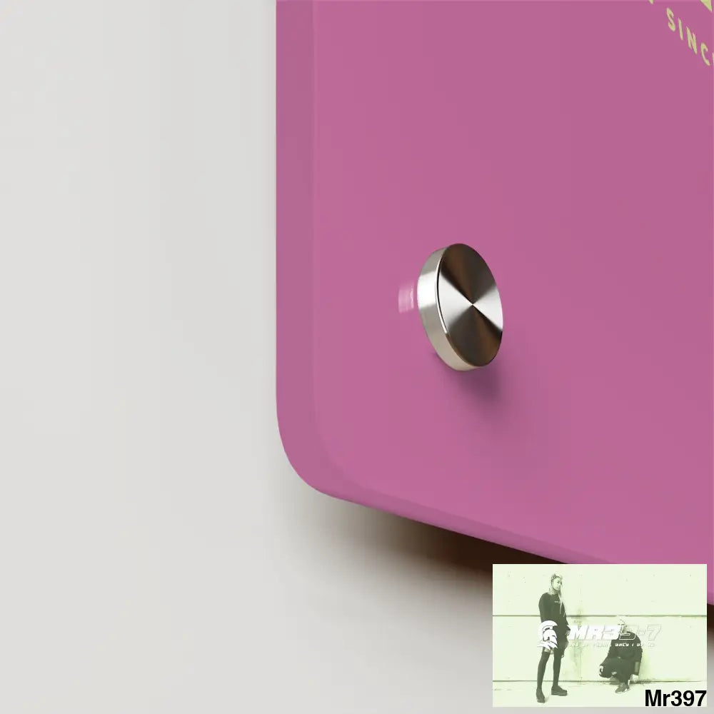 A1-Vigilante Acrylic Wall Art Panels Home Decor