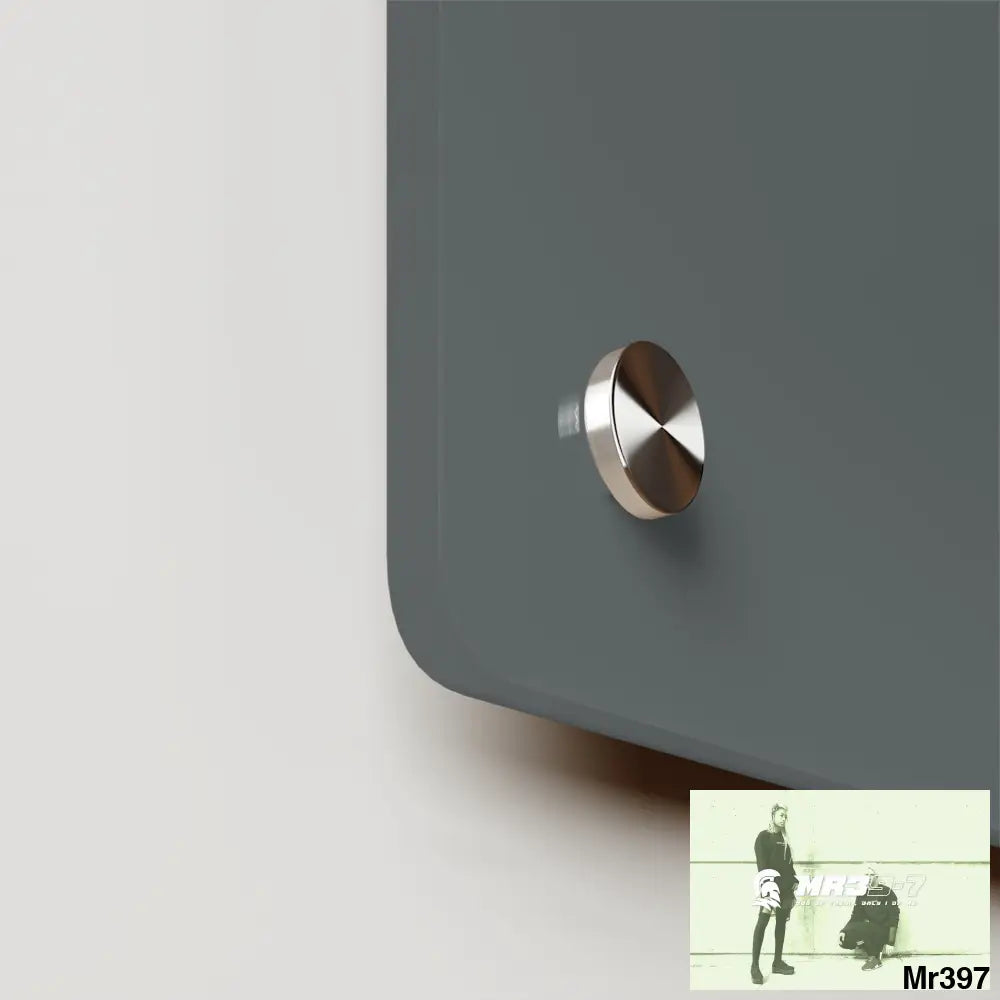 A1-Vigilante Acrylic Wall Art Panels Home Decor