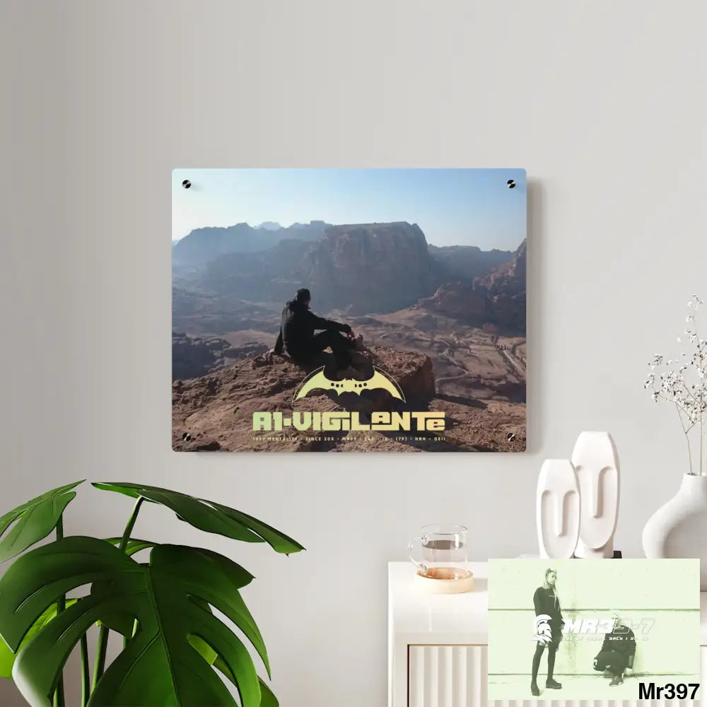 A1 Vigilante Jordan Break from Madness 2014 Acrylic Wall Art Panels Home Decor