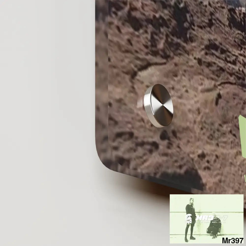 A1 Vigilante Jordan Break from Madness 2014 Acrylic Wall Art Panels Home Decor