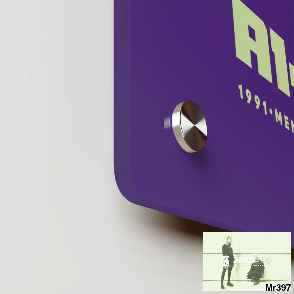 A1--Vigilante -Sparta Sparta Acrylic Wall Art Panels Home Decor