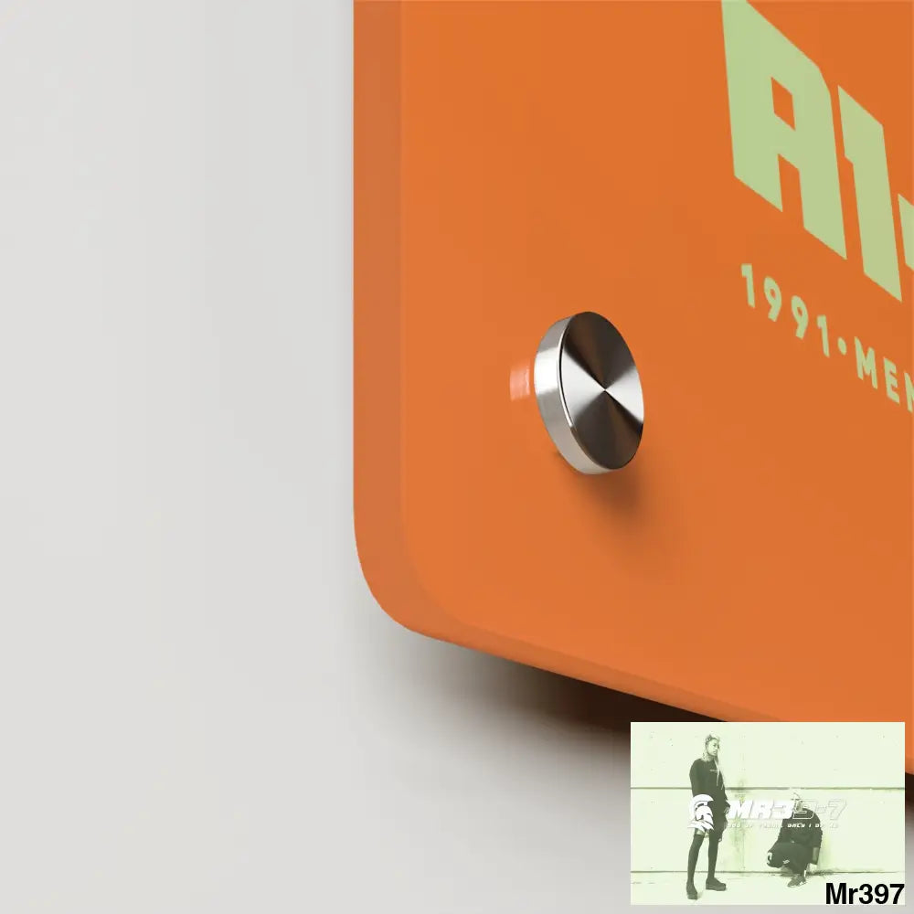 A1-Vigilante -Sparta Sparta Acrylic Wall Art Panels Home Decor