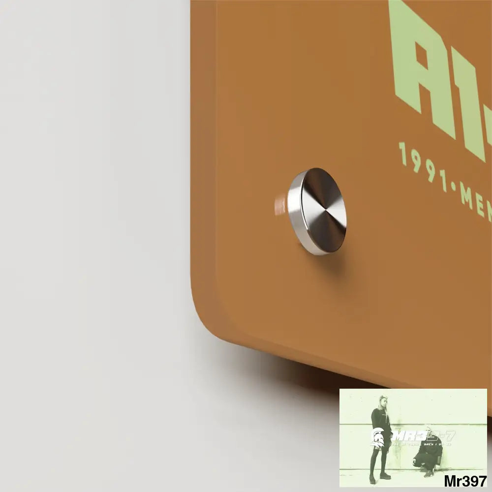 A1-Vigilante -Sparta Sparta Acrylic Wall Art Panels Home Decor