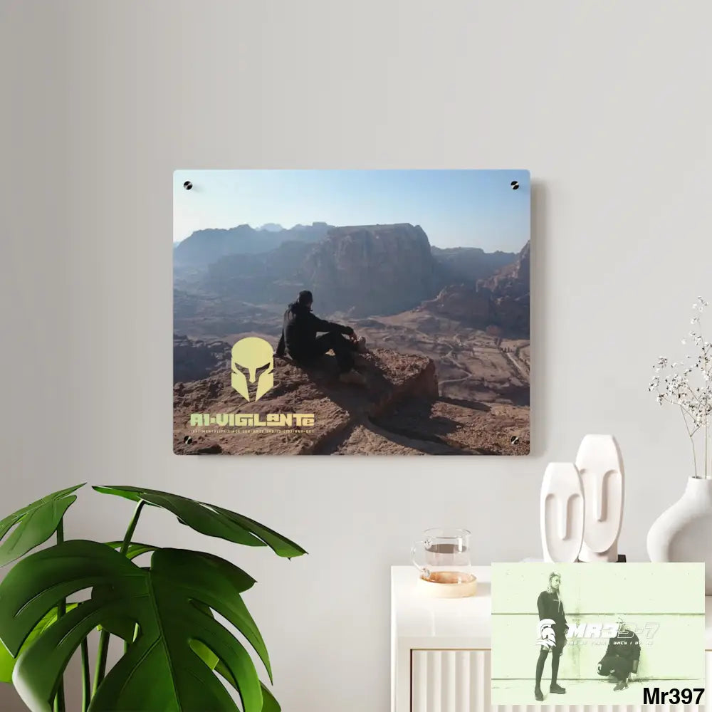 A1 Vigilante Sparta Jordan Break from Madness 2014 Acrylic Wall Art Panels Home Decor