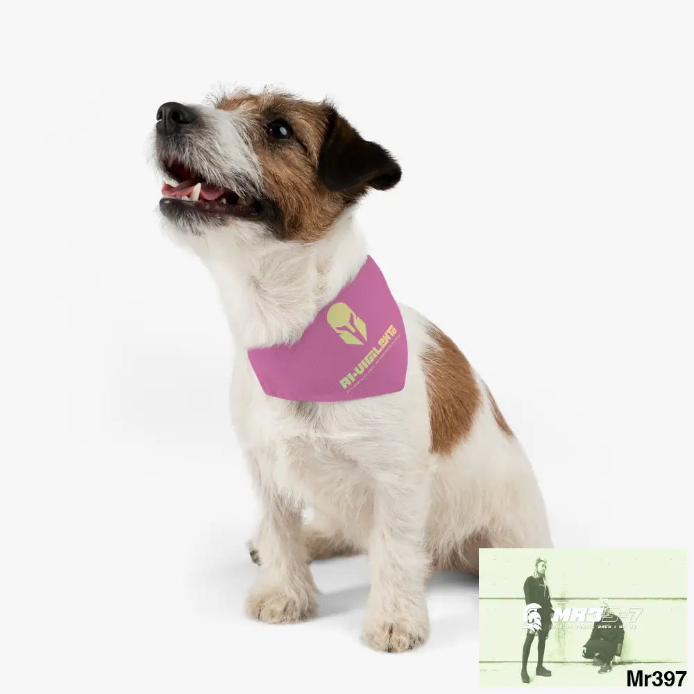 A1-Vigilante-Sparta Pet Bandana Collar Pets