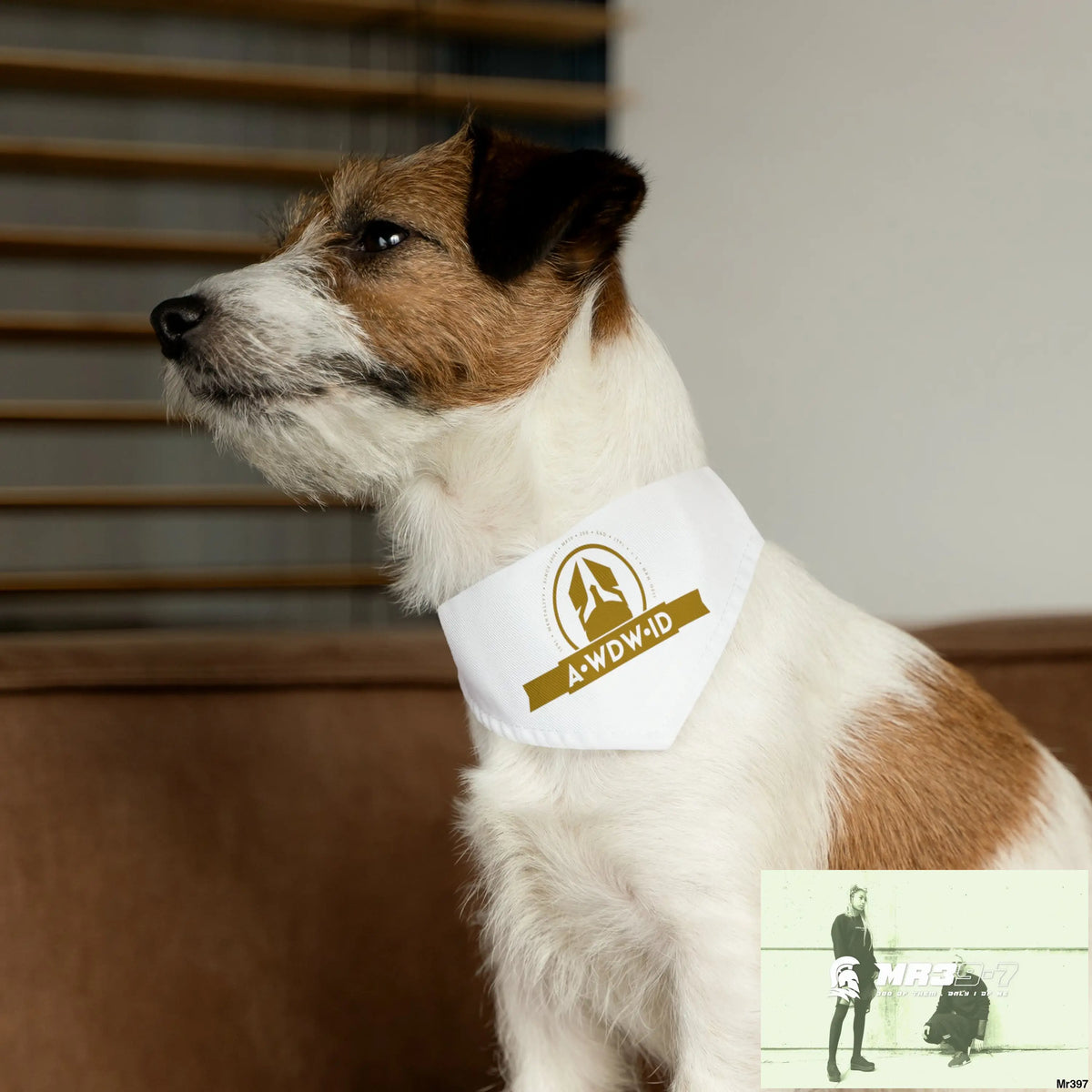 A1-Who Dares Wins ID Pet Bandana Collar Pets