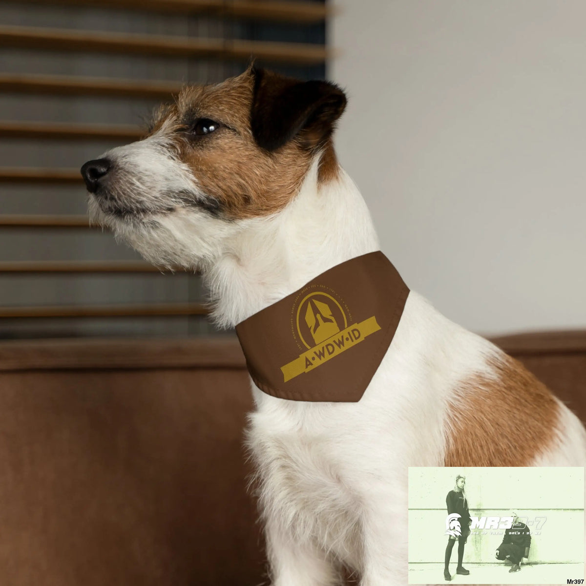 A1--Who Dares Wins ID Pet Bandana Collar Pets