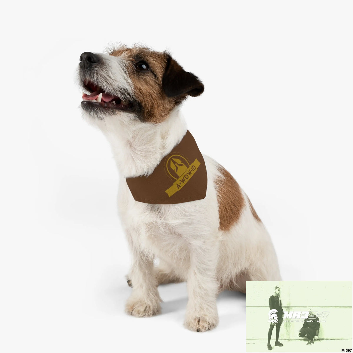 A1--Who Dares Wins ID Pet Bandana Collar S Pets