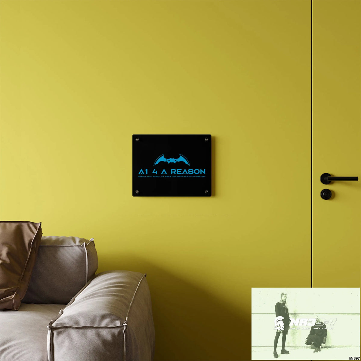 A14 A Reason Acrylic Wall Art Panels Home Decor