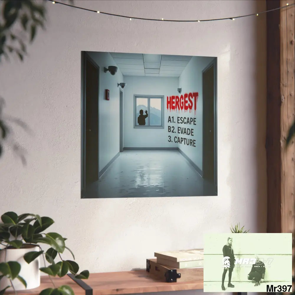 Banksy Style Escape from Hergest Assassination fail Nov -Dec 2013 no 5 Fine Art Posters Poster