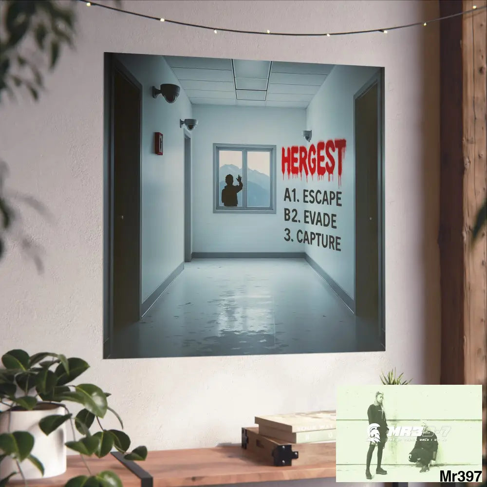 Banksy Style Escape from Hergest Assassination fail Nov -Dec 2013 no 5 Fine Art Posters Poster