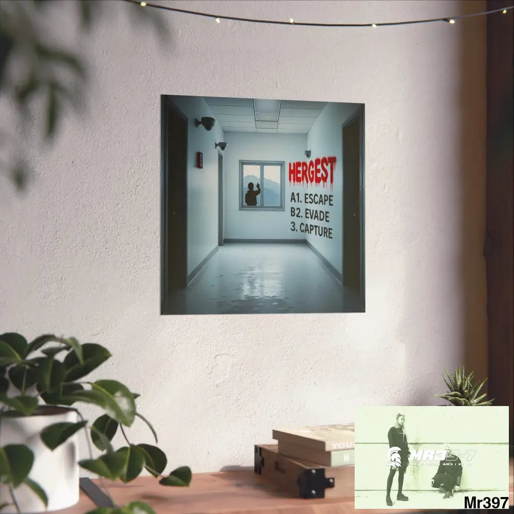 Banksy Style Escape from Hergest Assassination fail Nov -Dec 2013 no 5 Fine Art Posters Poster