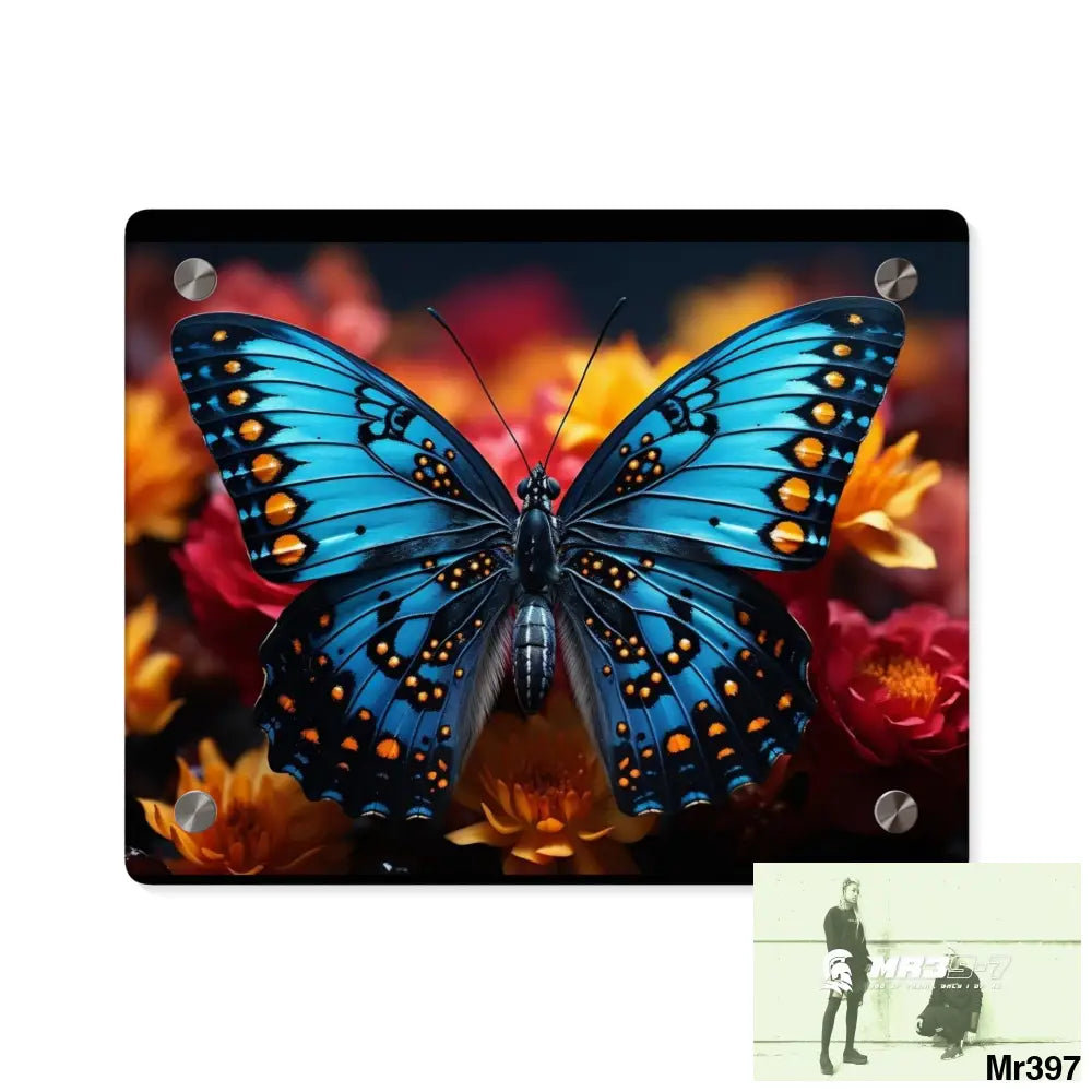 Blue Butterfly on Flower with Black and Orange Spots Acrylic Wall Art Panels 10″ x 8″ (Horizontal) / 0.25’’ Home Decor