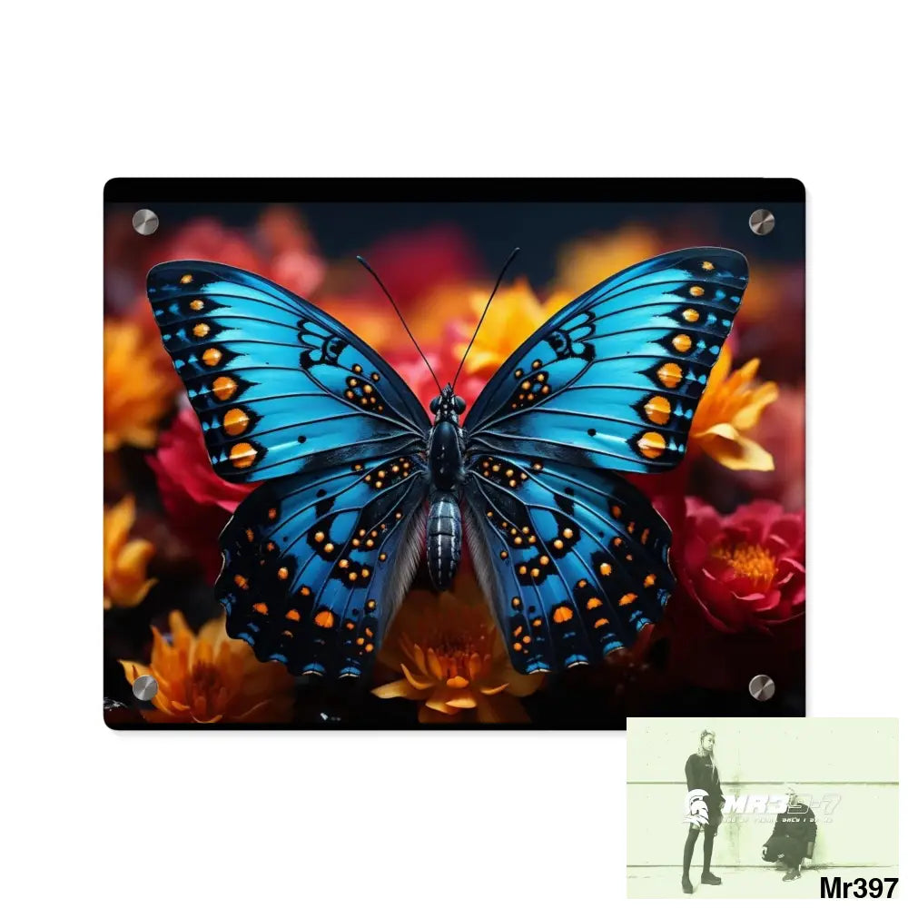 Blue Butterfly on Flower with Black and Orange Spots Acrylic Wall Art Panels 14″ x 11″ (Horizontal) / 0.25’’ Home Decor