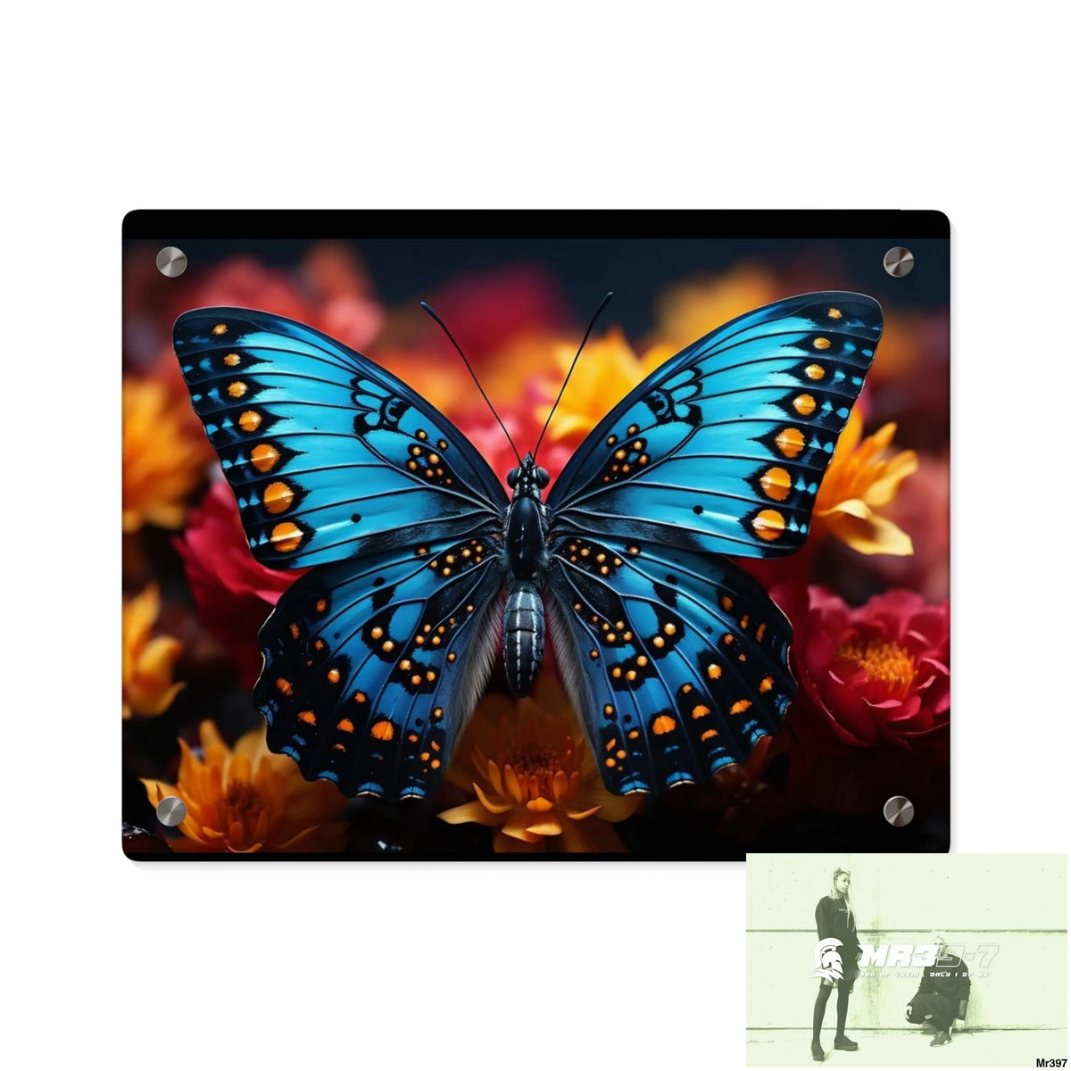 Blue Butterfly on Flower with Black and Orange Spots Acrylic Wall Art Panels 14″ x 11″ (Horizontal) / 0.25’’ Home Decor