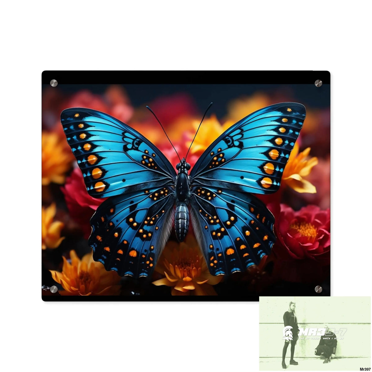 Blue Butterfly on Flower with Black and Orange Spots Acrylic Wall Art Panels 20″ x 16″ (Horizontal) / 0.25’’ Home Decor