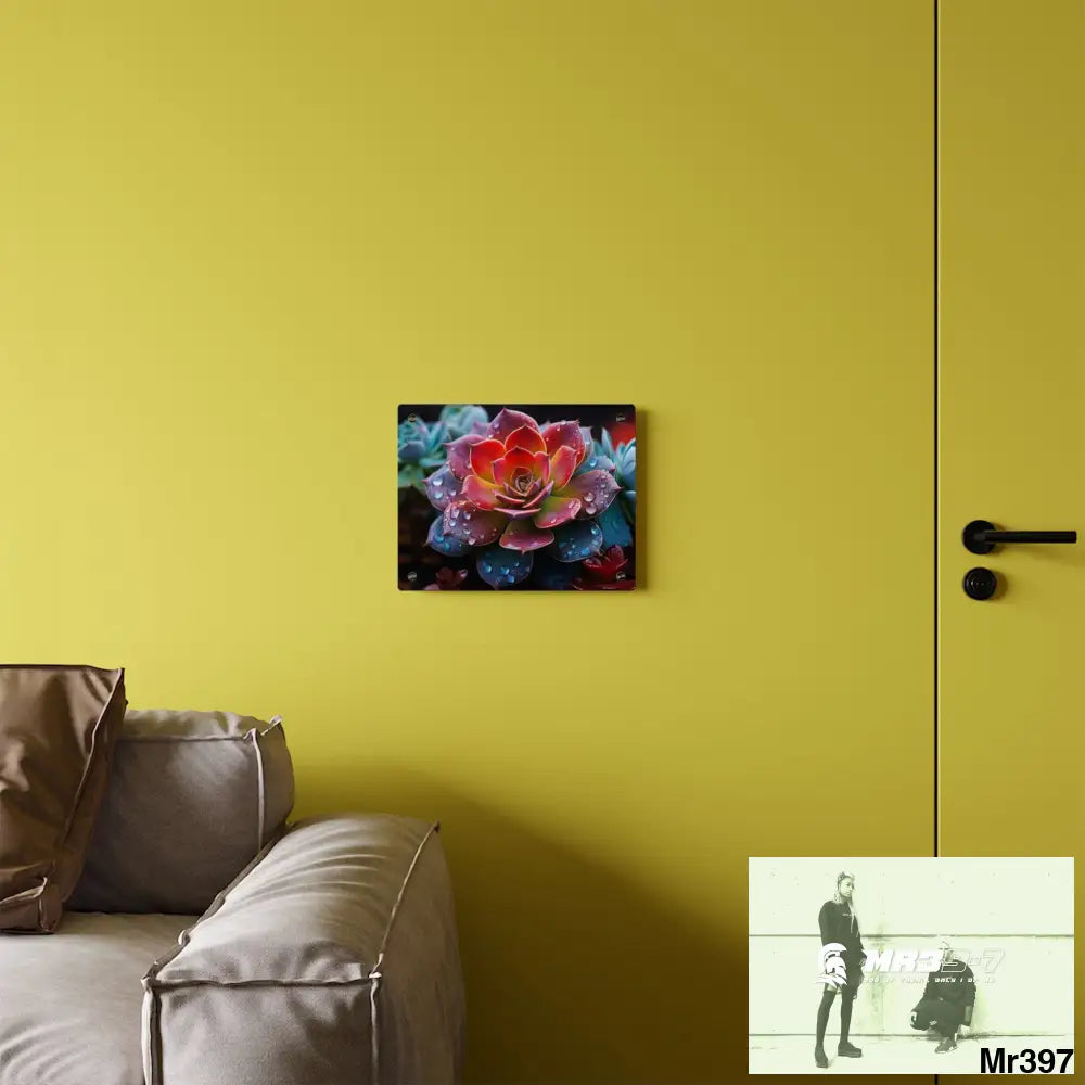 Close-up of Vibrant Succulent Plant with Water Droplets Wall Art Panels Home Decor